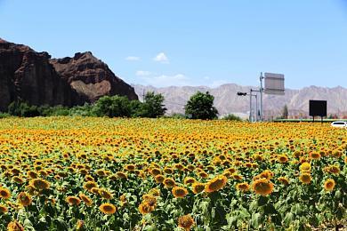 《DOTA2》BB别墅杯贝尔格莱德站 Falcons夺冠